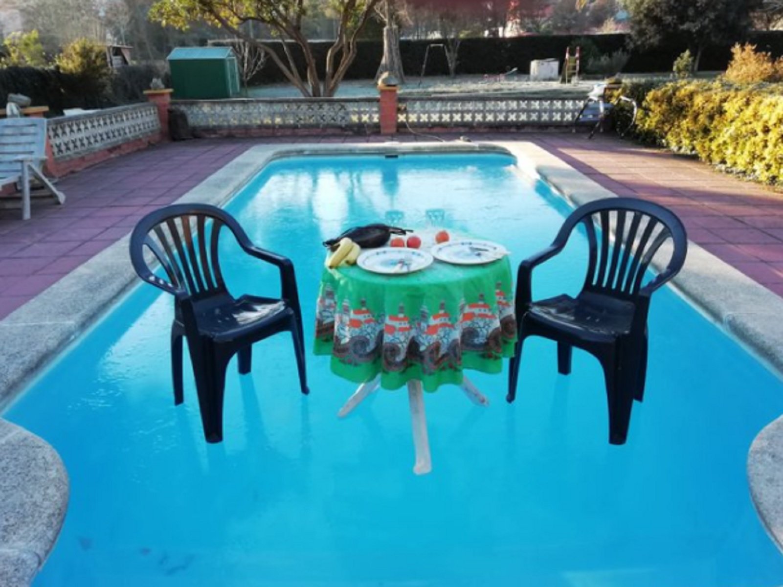 Piscina congelada a Sant Dalmai, en la comarca de la Selva / Foto: Àngel Martí Twitter