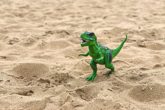 Y si te dijera que... ¿todo el que sabes de dinosaurios es falso? Y si te dijera que... ¿todo el que sabes de dinosaurios es falso?