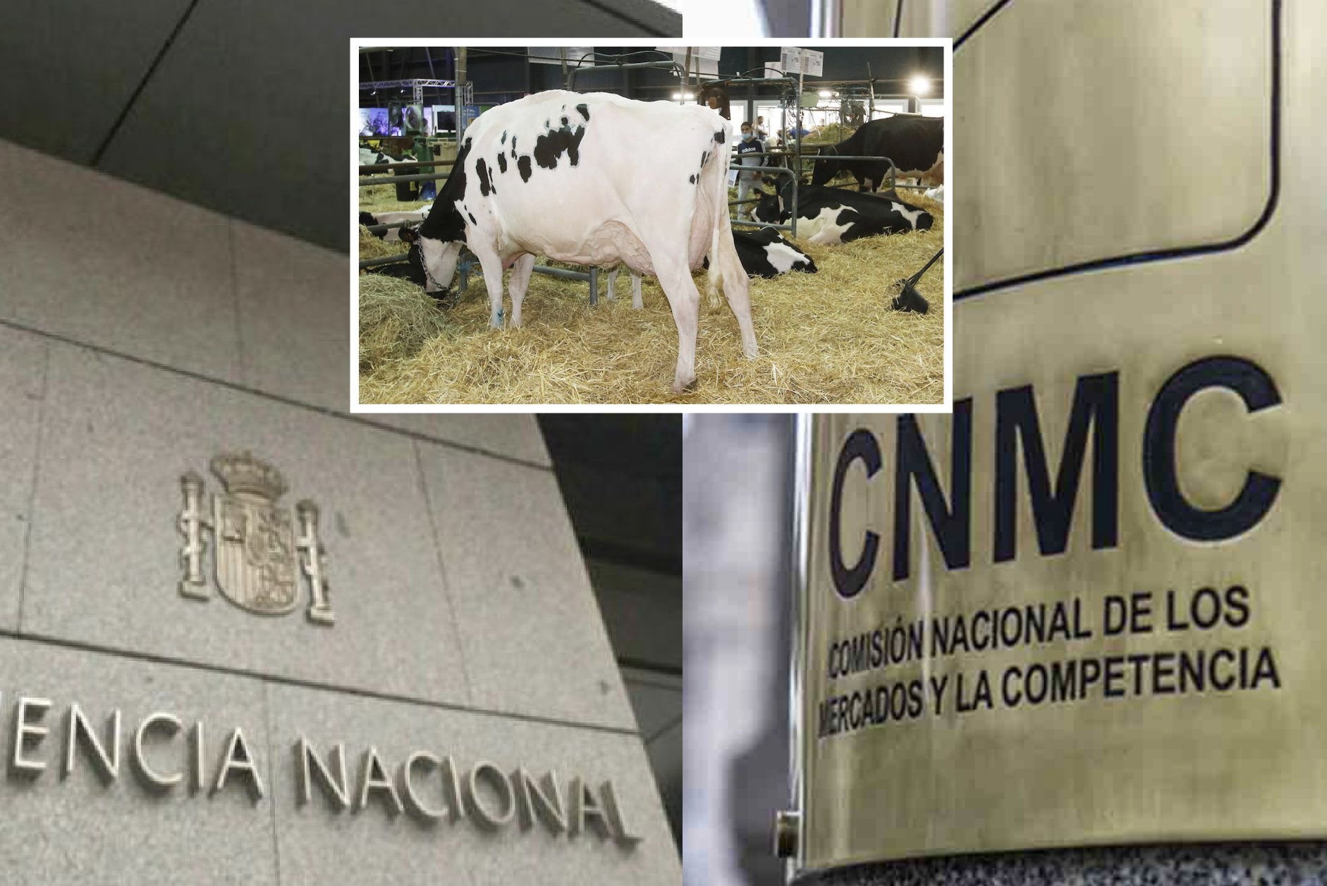 En risc les reclamacions del 'cas de la llet' pels nous criteris de l'Audiència Nacional