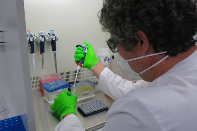 Analisis muestras covid - ACN