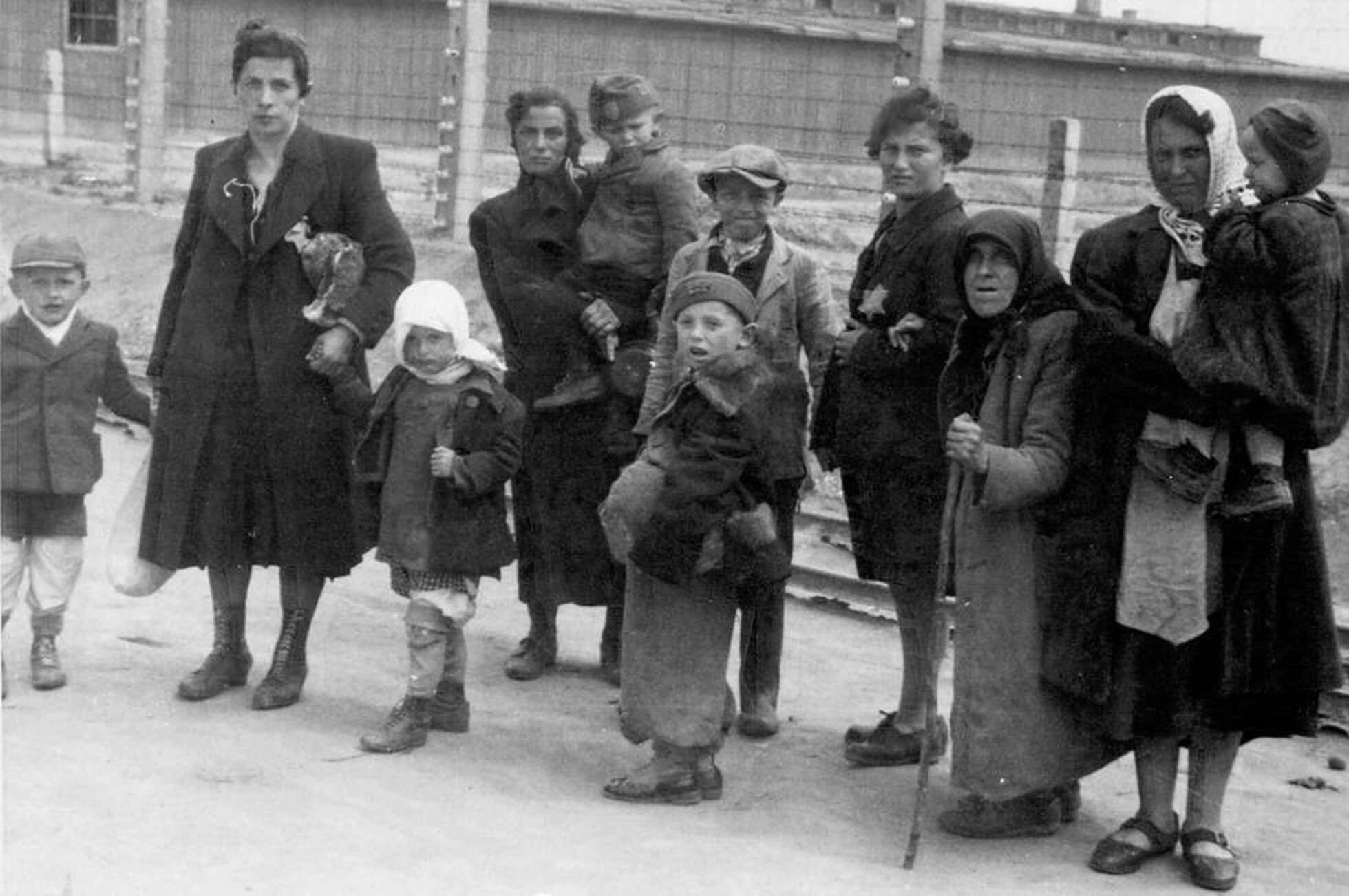 El fotògraf de Mauthausen i vuit deportats més tindran Stolpersteine a Barcelona