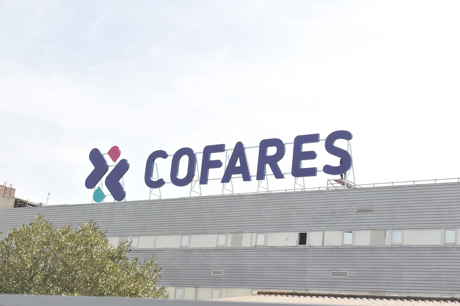 Cofares revalida el seu lideratge amb un 29,2% de quota, seguida de Bidafarm amb 21,7%