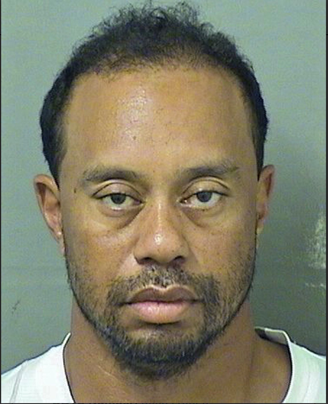 Tiger Woods, detenido por conducir en estado de embriaguez Tiger Woods, detenido por conducir en estado de embriaguez