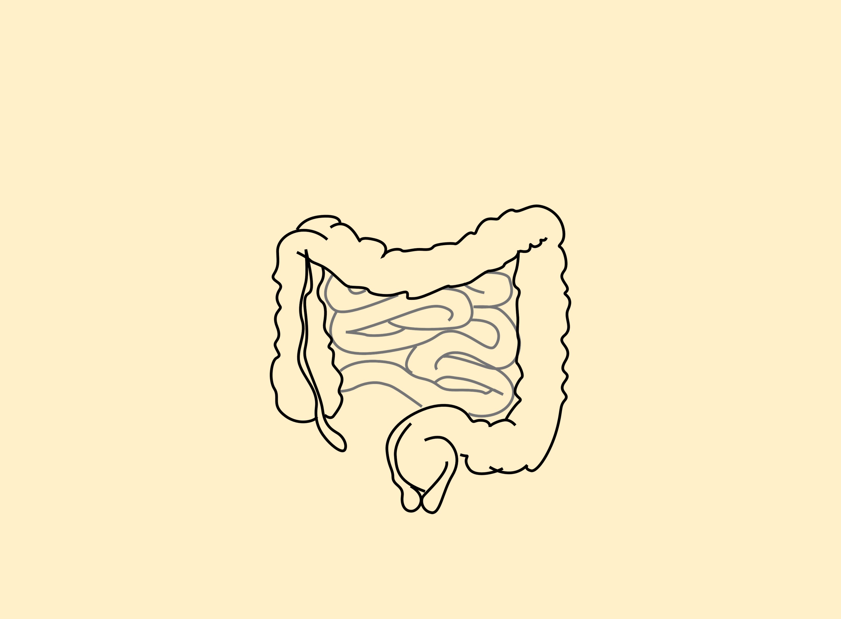 Intestins