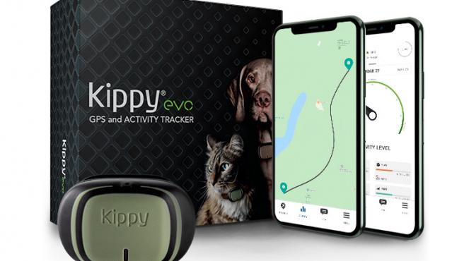Collar con app para no perder a tu mascota