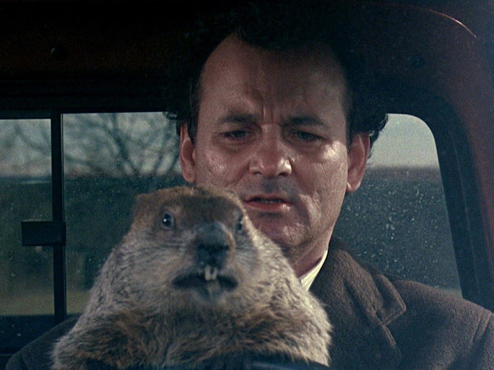 El día de la marmota: 5 películas sobre bucles temporales para mirar y remirar