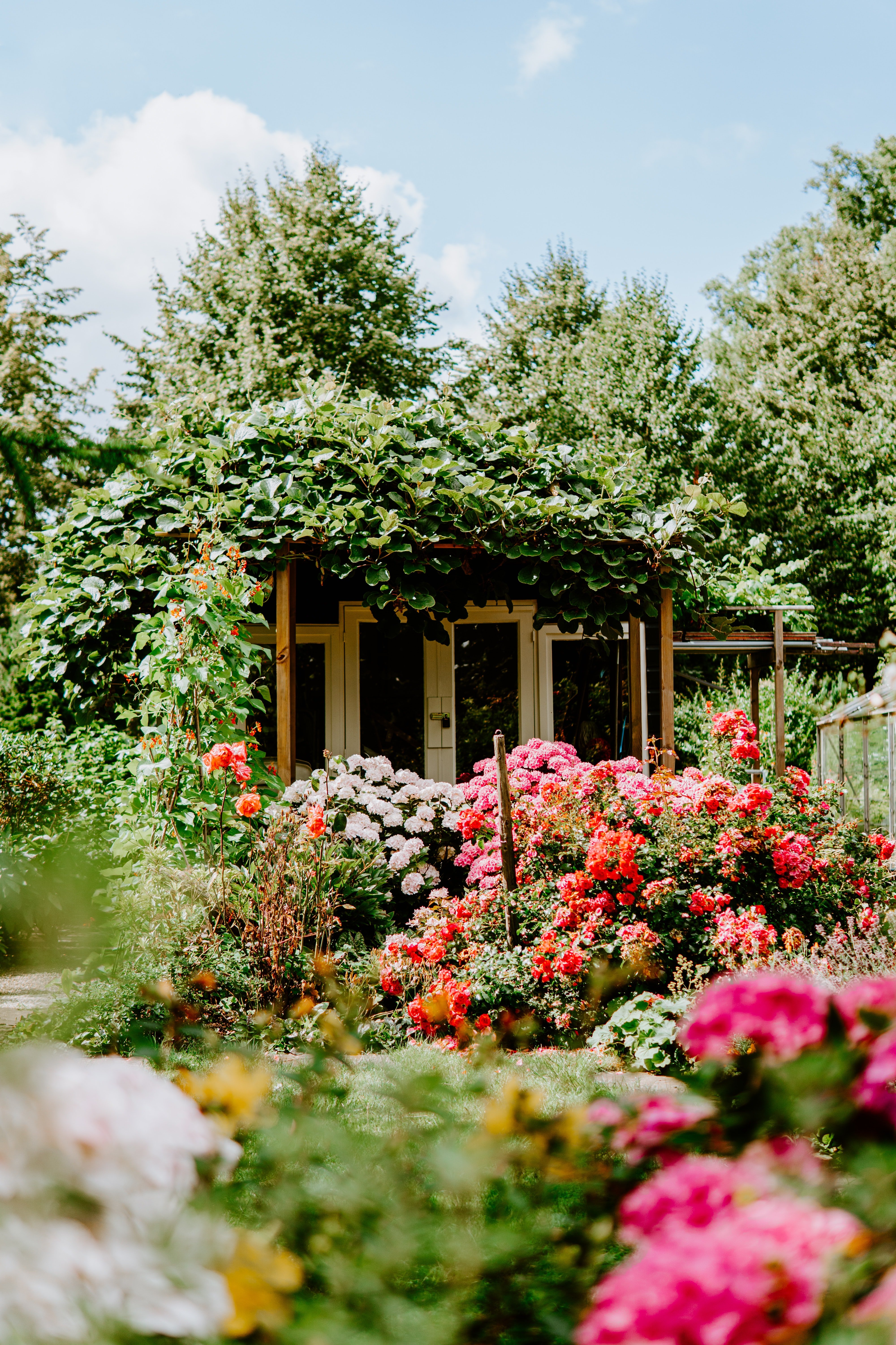 Les flors (també) s'enamoren: com ho fan?