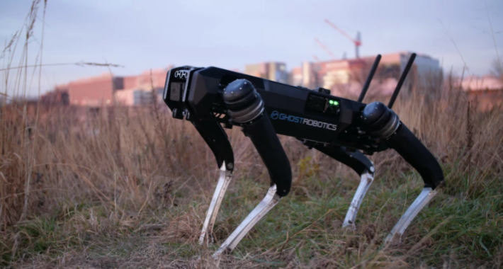 Perros robots para la frontera de Estados Unidos