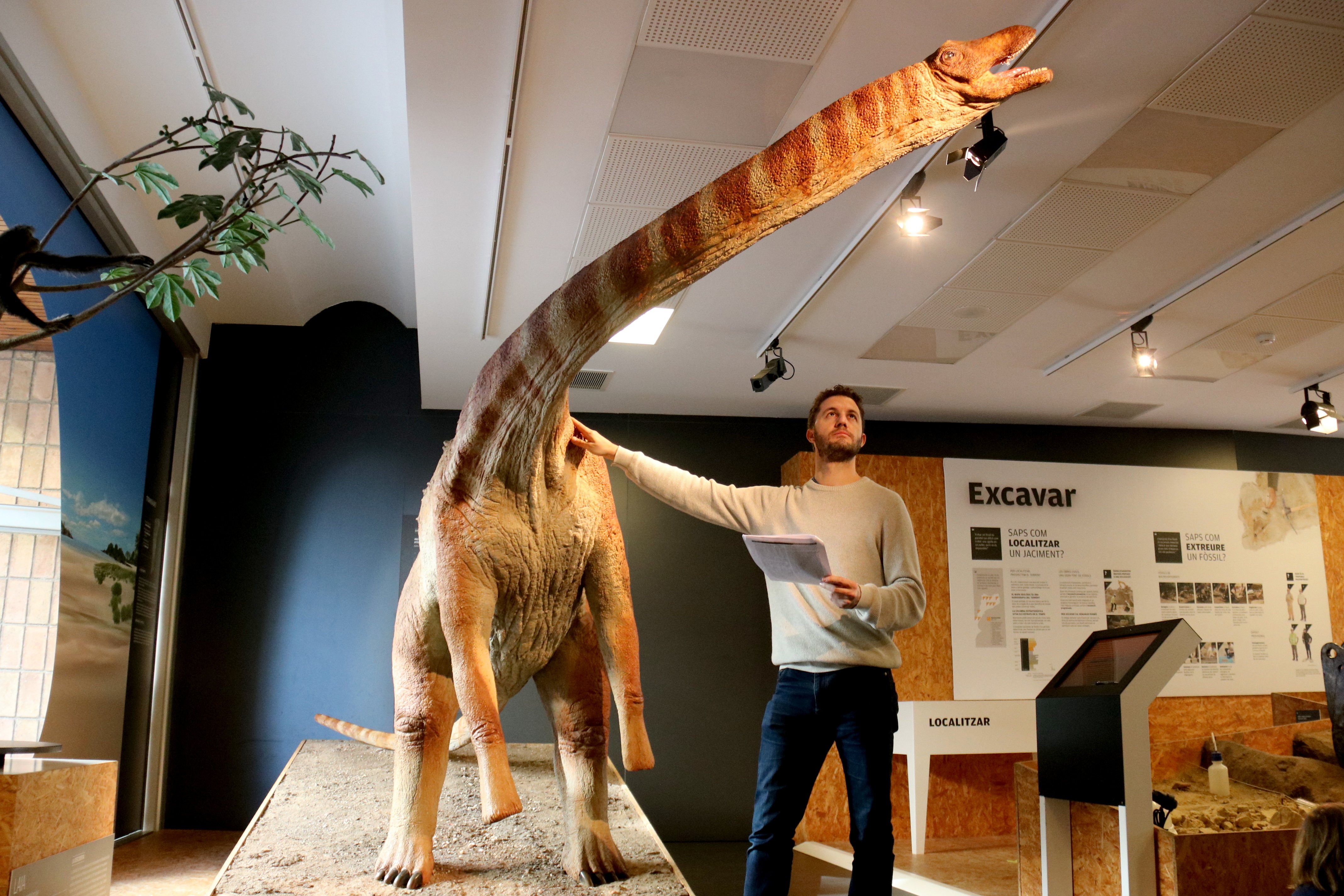 Descubren una nueva especie de dinosaurio que vivió en el Pallars Jussà