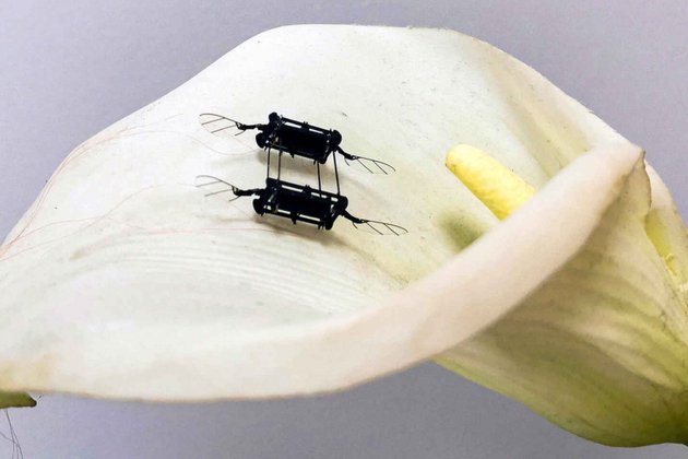 Microrrobots del MIT