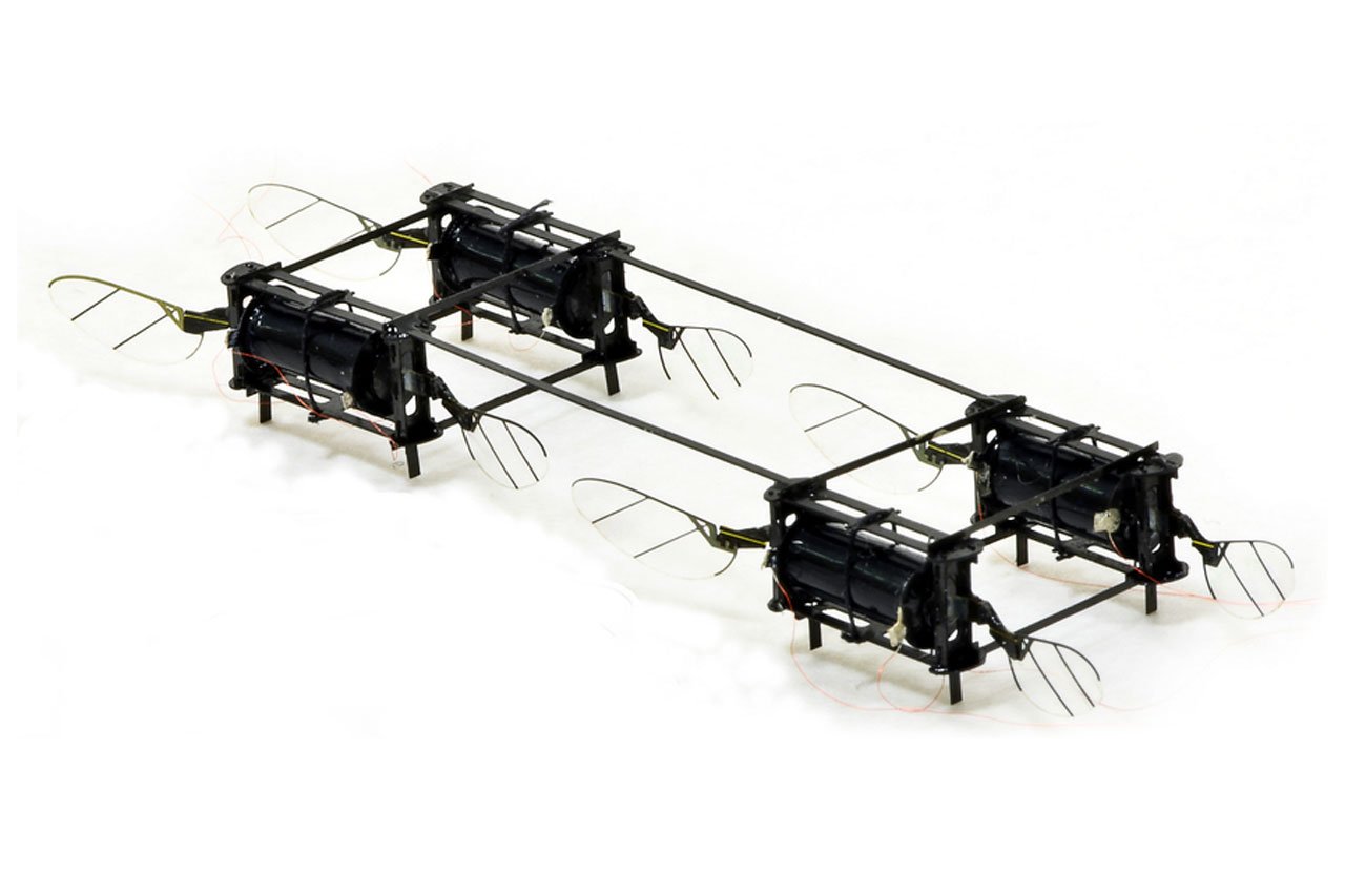 Inventan unos nuevos insectos robots voladores que transportan el triple de su peso