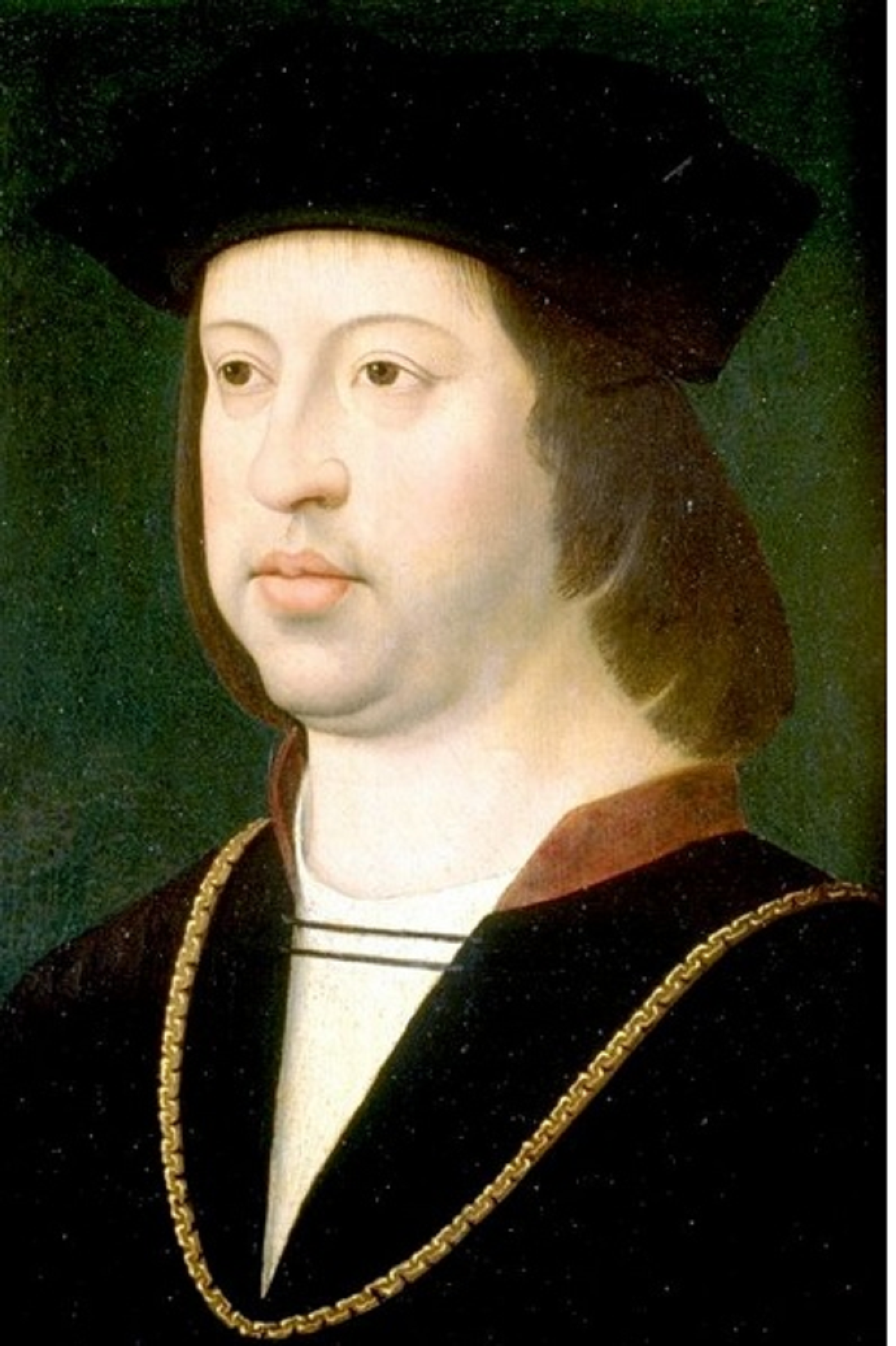 La família de Ferran el Catòlic