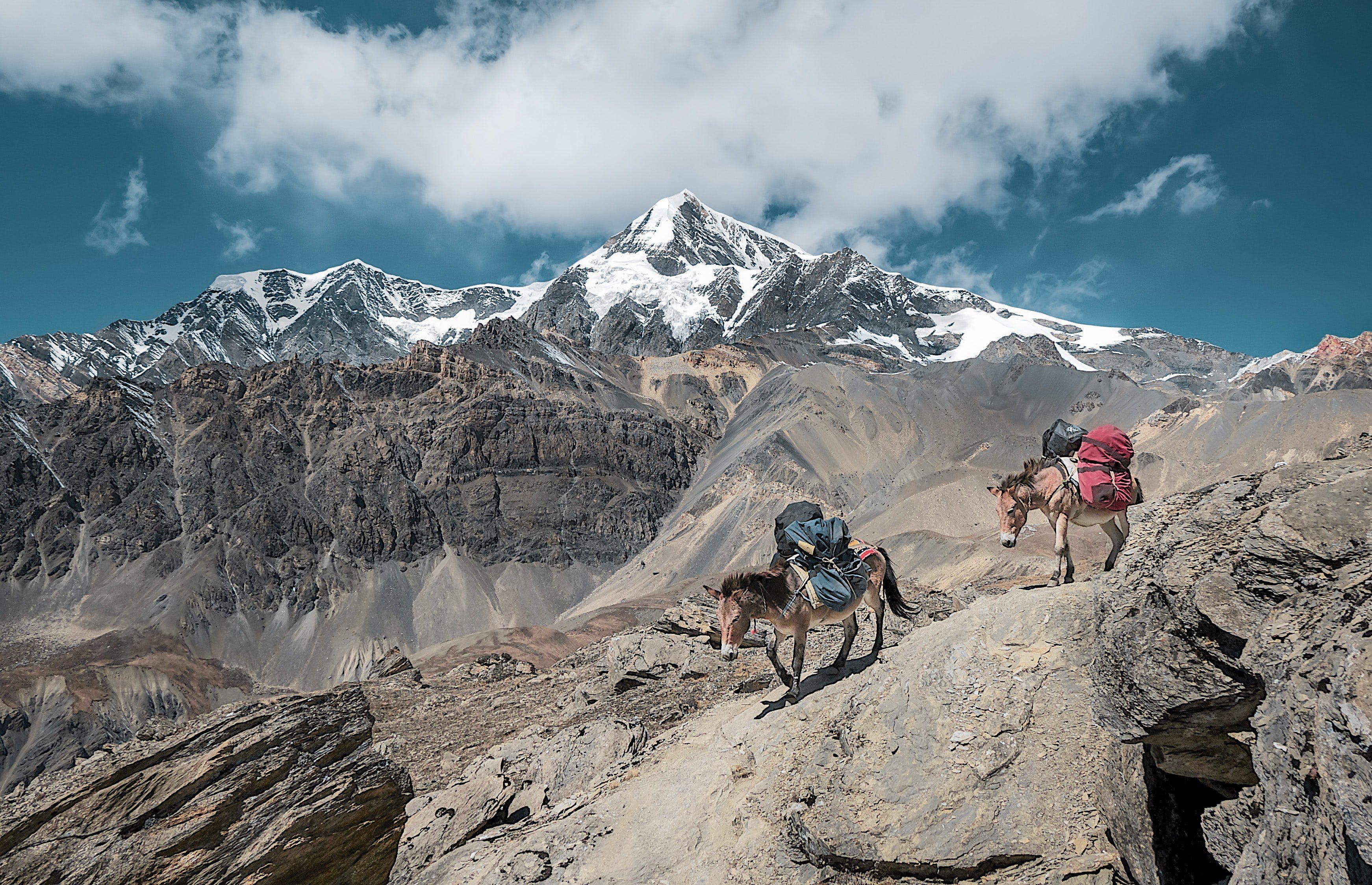 ¿Cómo llegan las vacunas de la covid en el Himalaya?