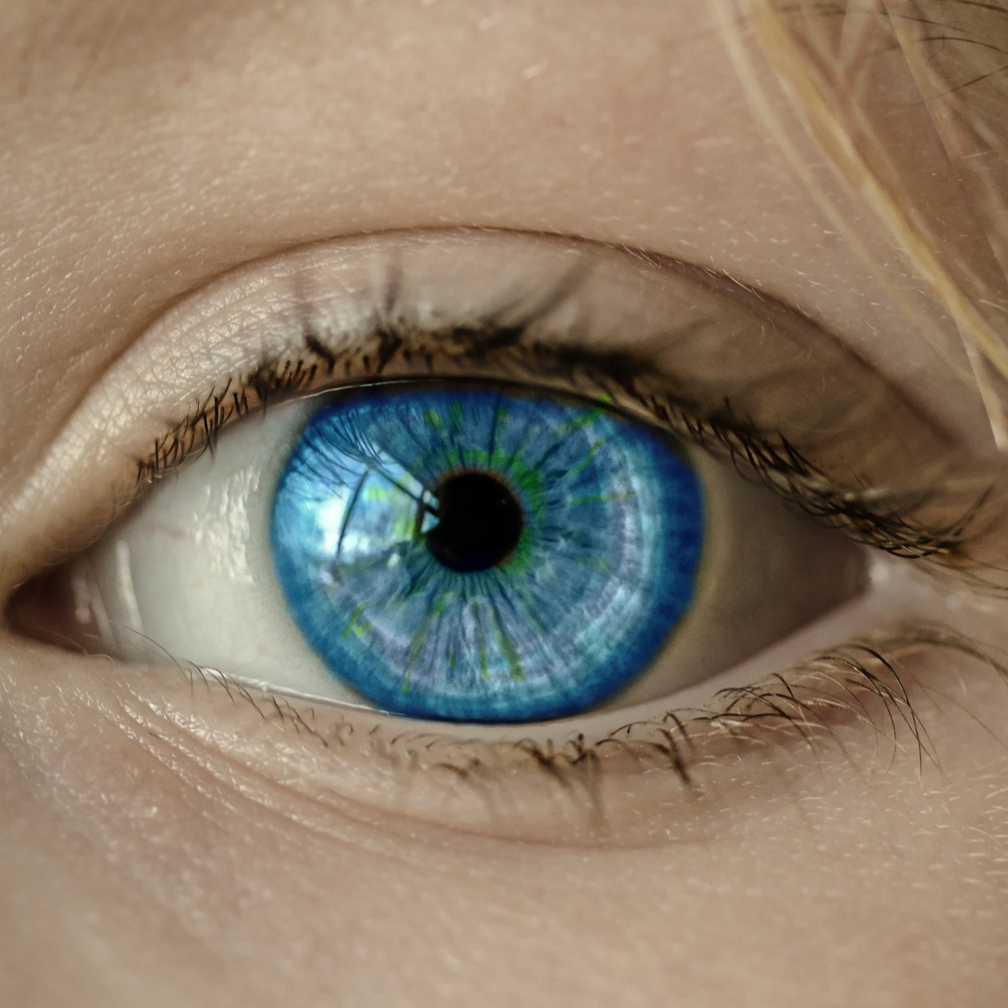 La retina, indicador de patir malalties neurodegeneratives en la vellesa