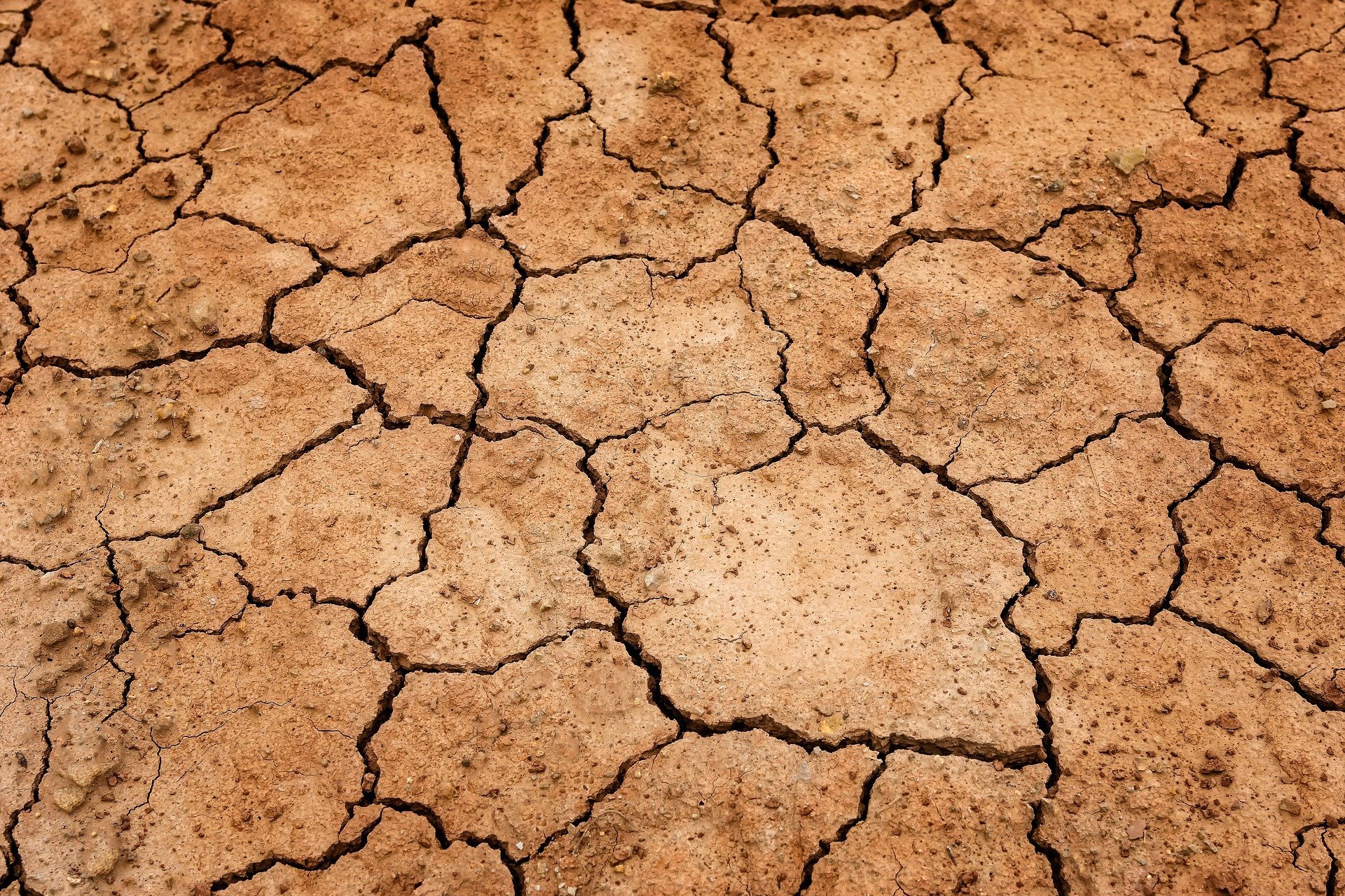 Alerta en Catalunya por la sequía: ¿habrá nuevas restricciones si no llueve?