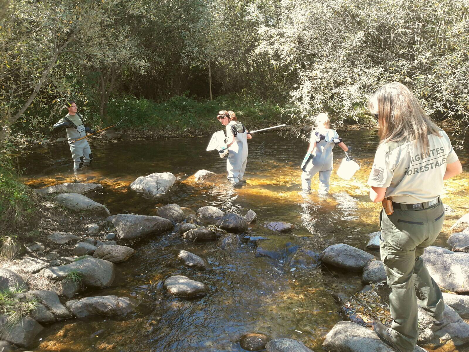 El riu Manzanares, el més contaminat d'Europa per drogues i fàrmacs