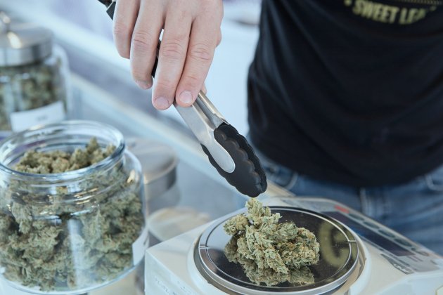marihuana unsplash marihuana unsplash