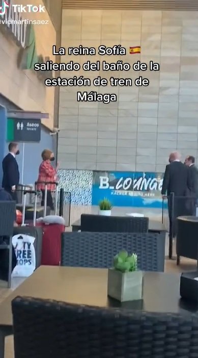 reina sofia lavabo tiktok