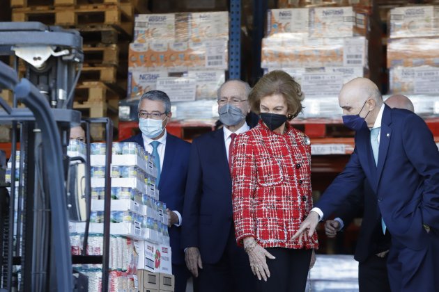 EuropaPress 4252802 reina sofia reune responsables asociacion banco alimentos costa sol