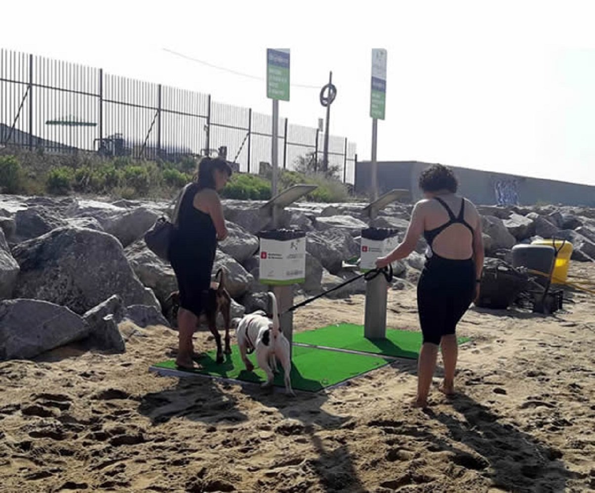 Barcelona obre l'àrea de gossos de la platja de Llevant