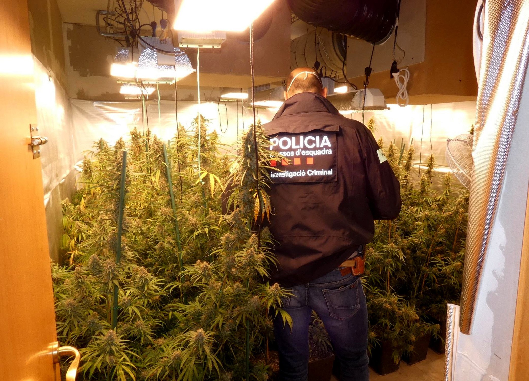 Detenido un agente de los Mossos: pasó datos secretos a un investigado por narcotráfico
