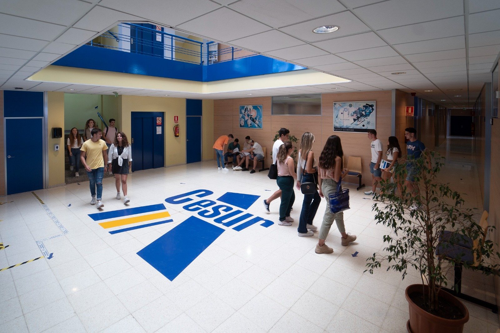 Los alumnos de Cesur pueden escoger sus prácticas de FP entre 2.000 empresas
