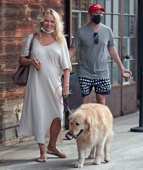 Pamela Anderson/ Agencia