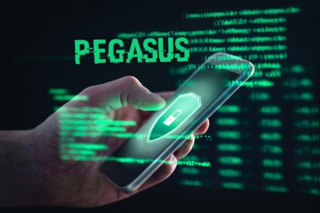Software Pegasus