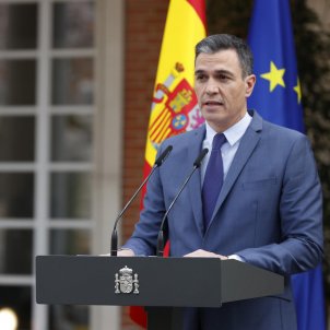 Declaración institucional de Pedro Sánchez   EFE