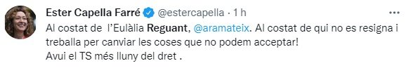 TUIT Reguant Ester Capella