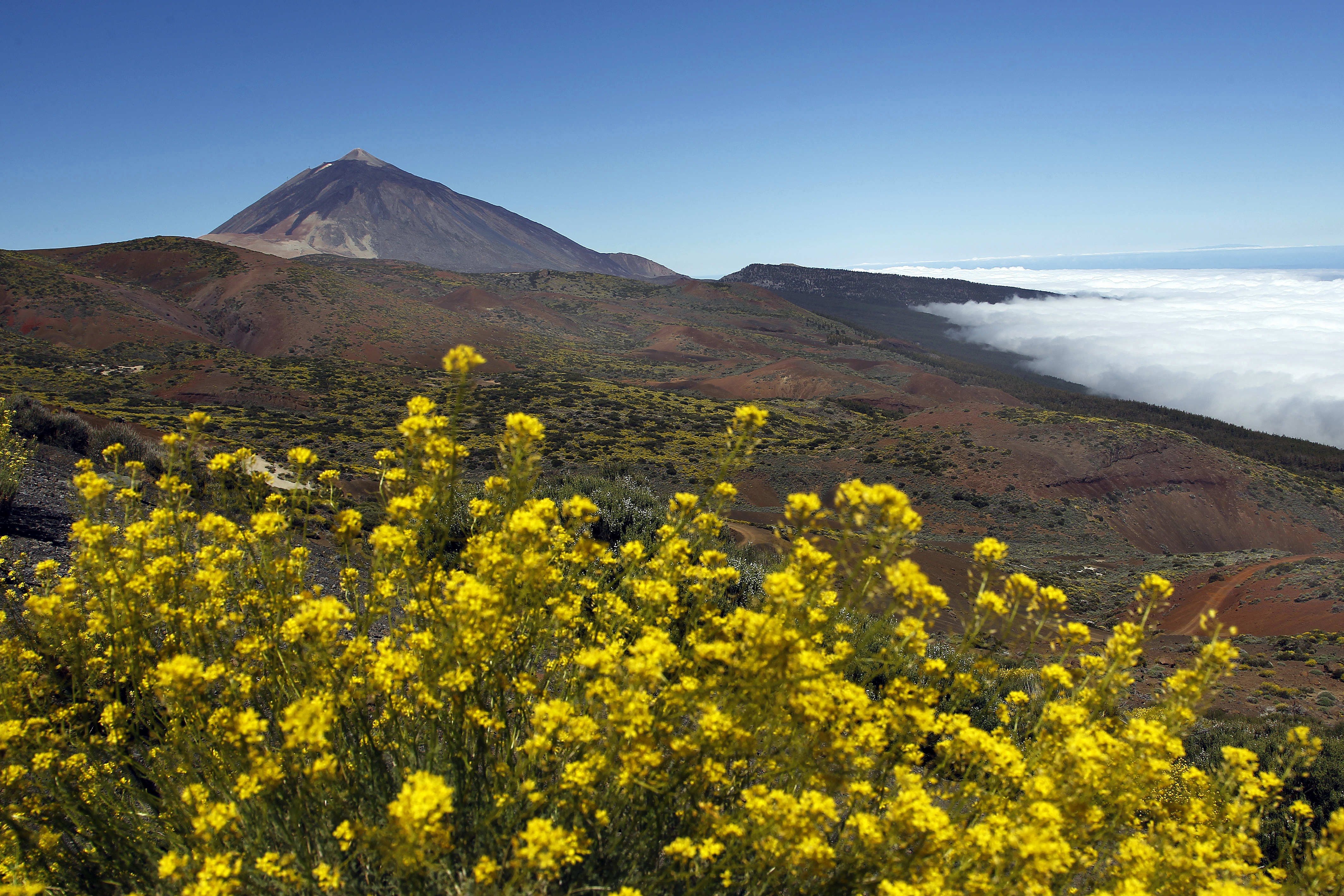 La Unesco ya incluye en su lista de Patrimonio Mundial 231 espacios naturales