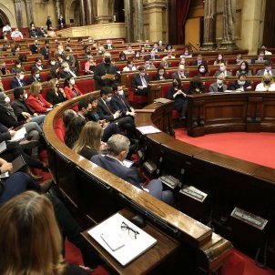 Vista general ple Parlament, sessió de control - Montse Giralt