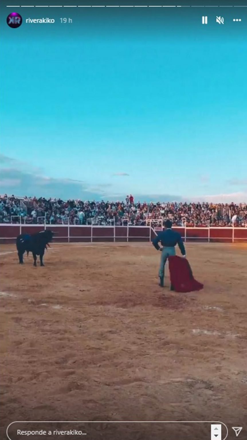 toros