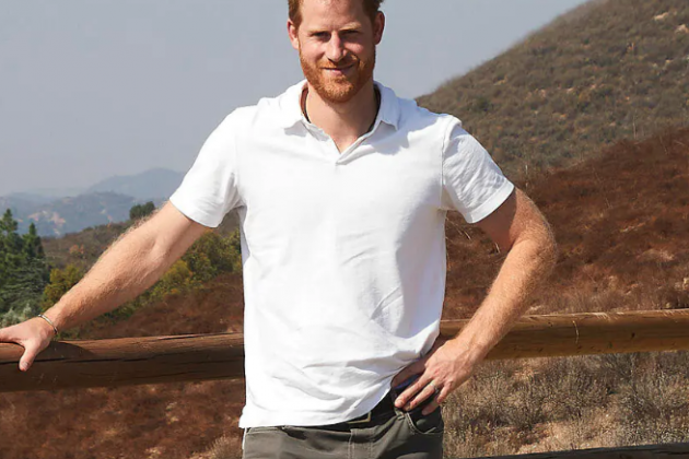 Príncep Harry/ Agencia