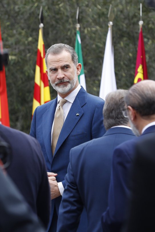 felipe vi xxvi conferencia presidentes la palma - efe