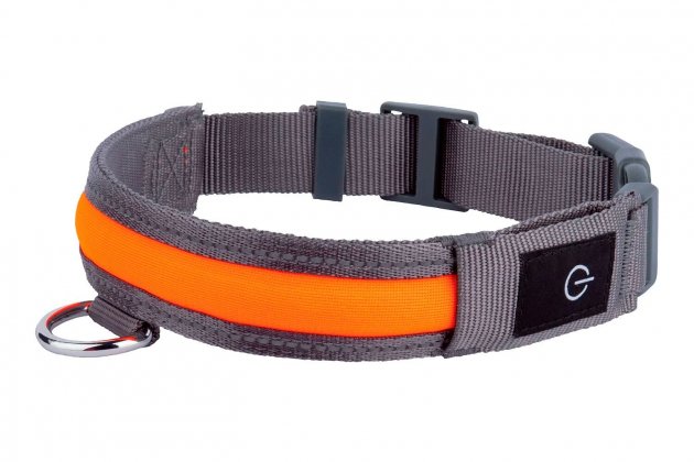 Collar para perro LED1