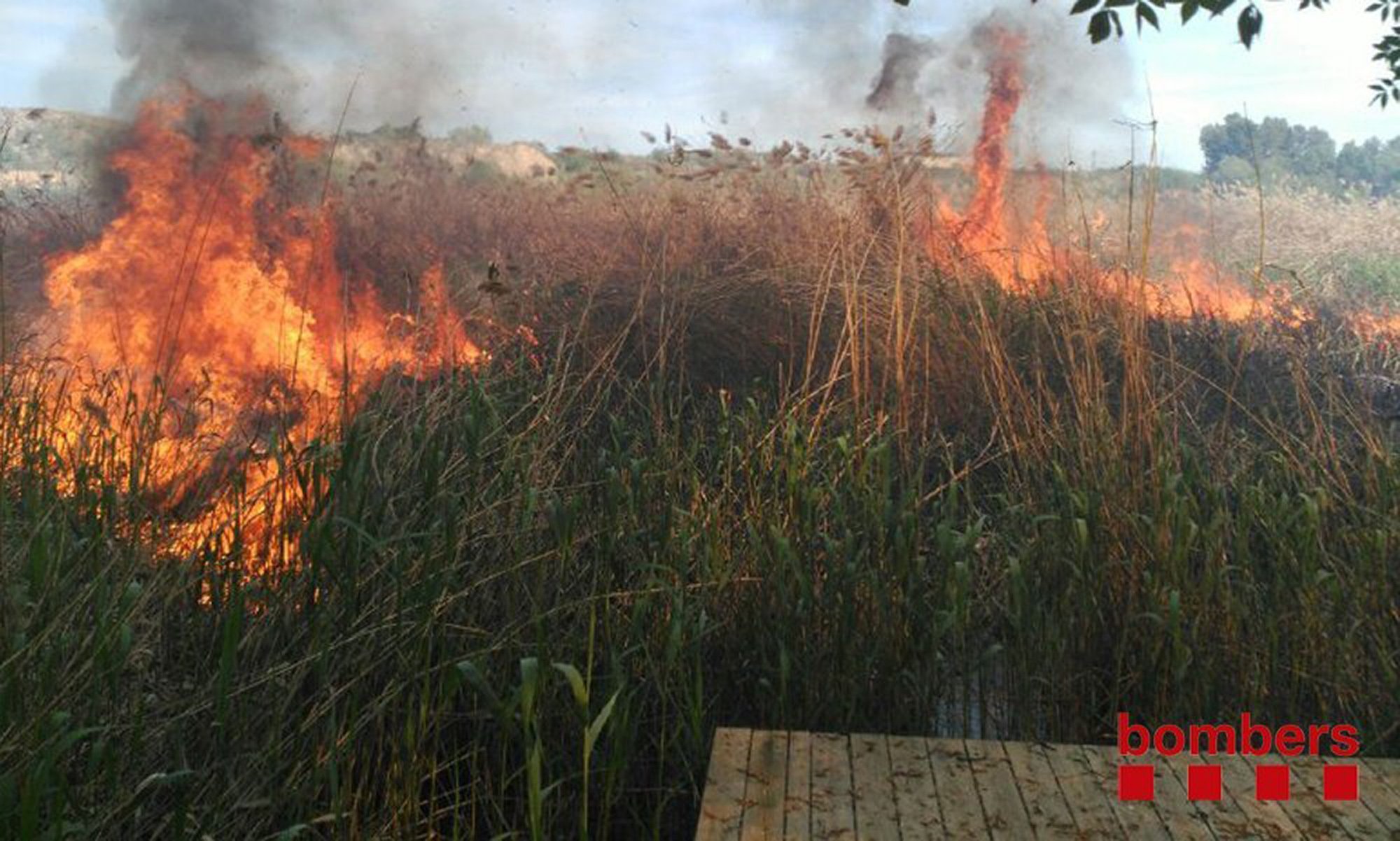 Interior pronostica una campanya d'incendis abans d'hora i ràpida