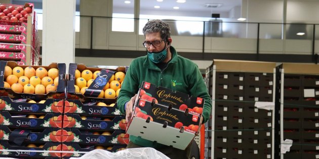 Mercabarna fruta ACN Mercabarna fruta ACN