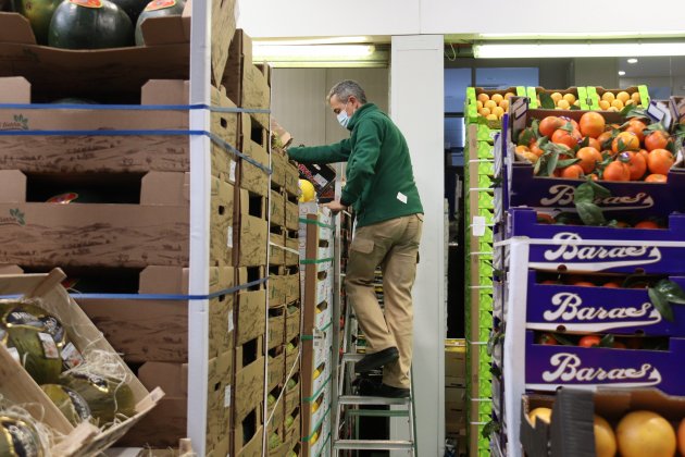 frutas y hortalizas mercabarna huelga transportes, distribución alimentos frescos trabajador sandia, naranjas   Ethan López ACN