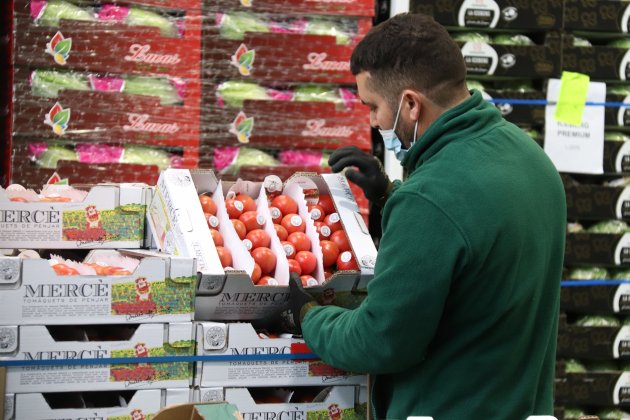frutas y hortalizas mercabarna huelga transportes, distribución alimentos frescos trabajador tomates   Ethan López ACN