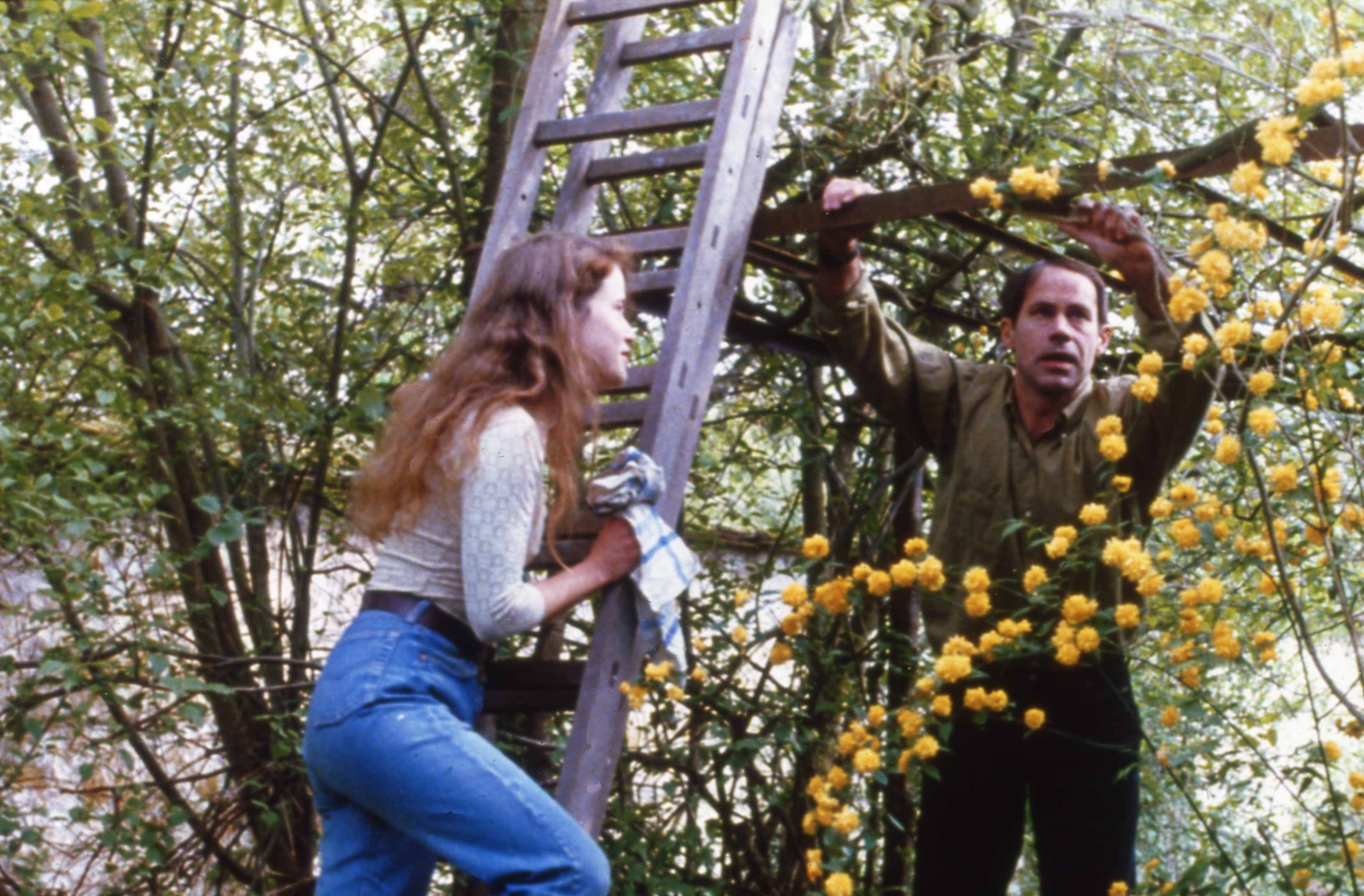 5 películas disponibles en plataformas para celebrar el inicio de la primavera 5 películas disponibles en plataformas para celebrar el inicio de la primavera