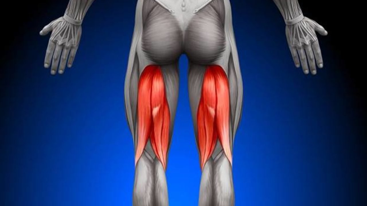 Isquiotibiales cortos: causas, síntomas y tratamiento para ellos