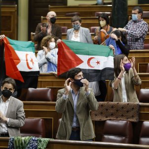 diputados unidas podemos muestran banderas sahara congreso   efe