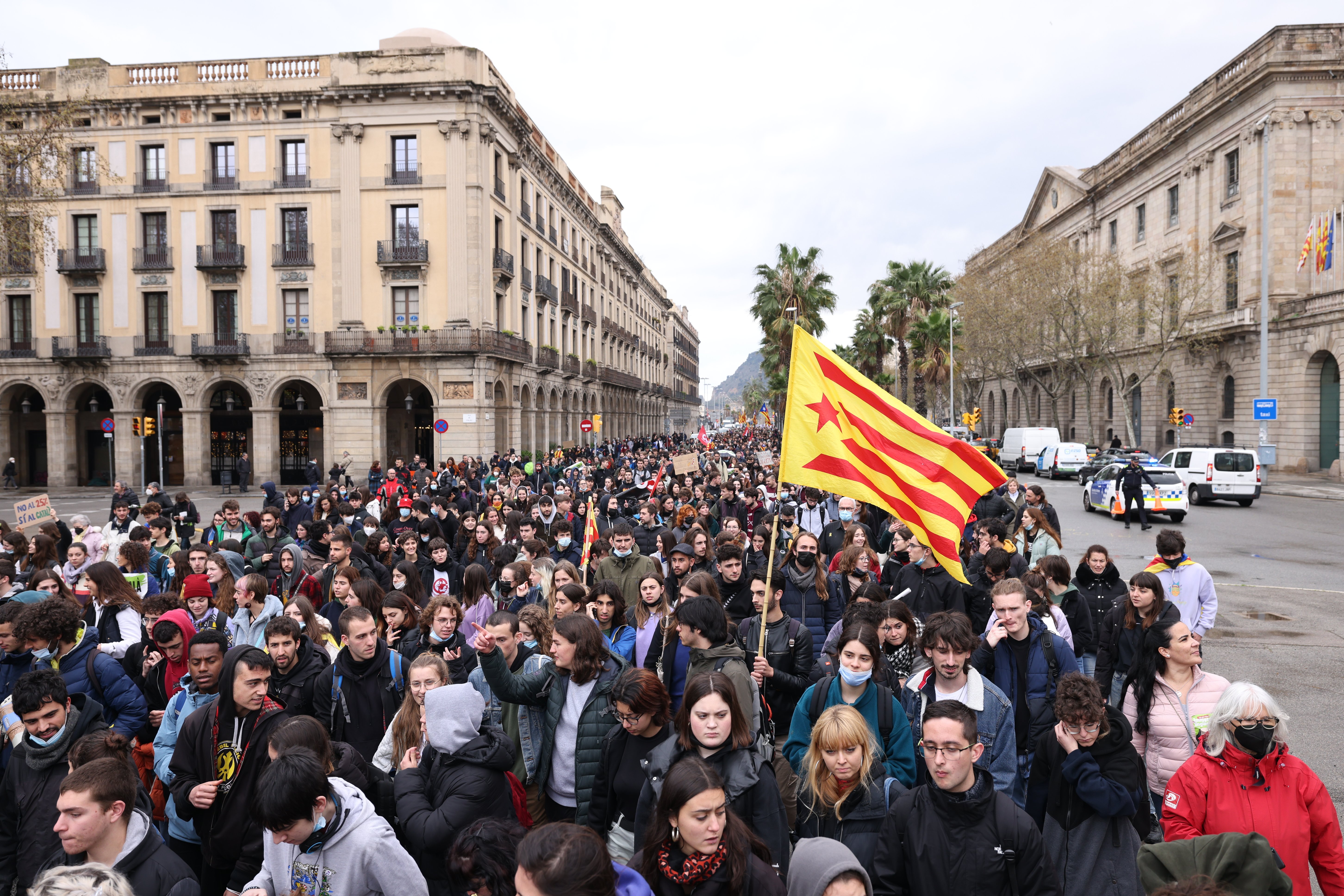 Manifestación maestros y profesores en contra 25% castellano, pancarta, Passeig Colon - Sergi Alcàzar