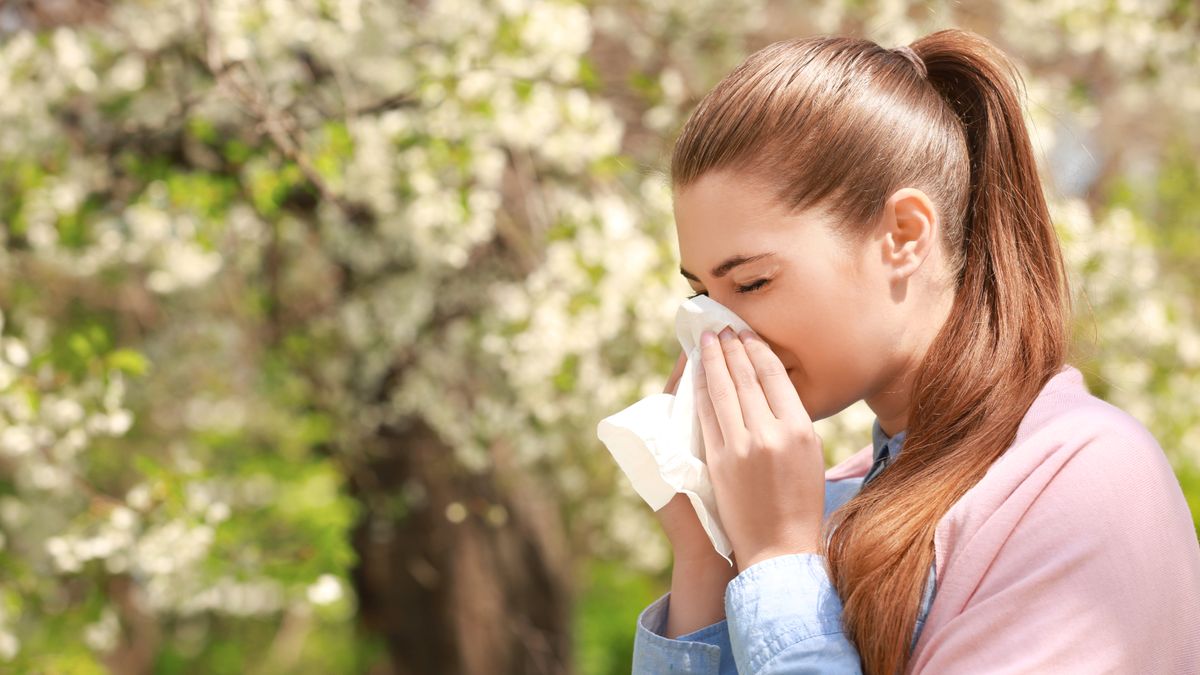 Llega la primavera y las alergias, y con estos 15 consejos las puedes combatir
