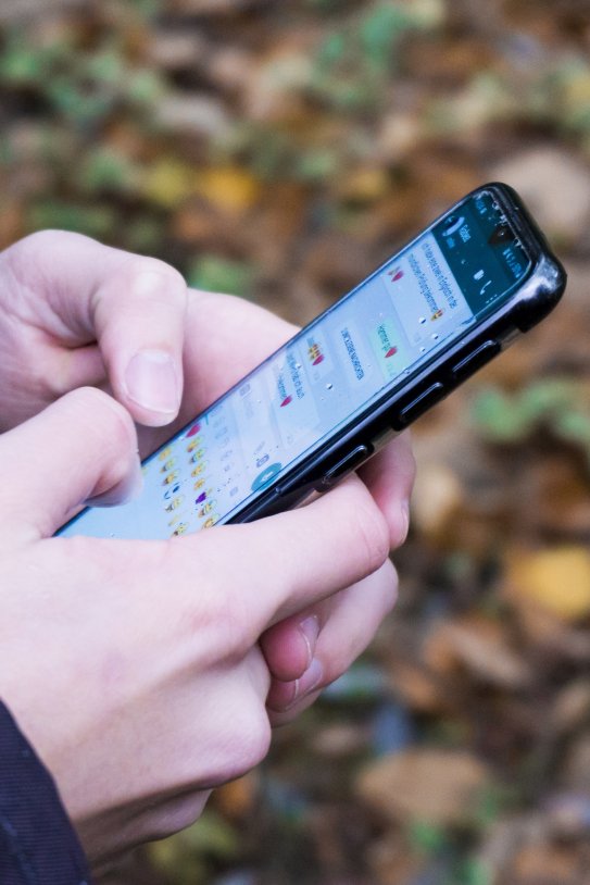 Chateando en WhatsApp