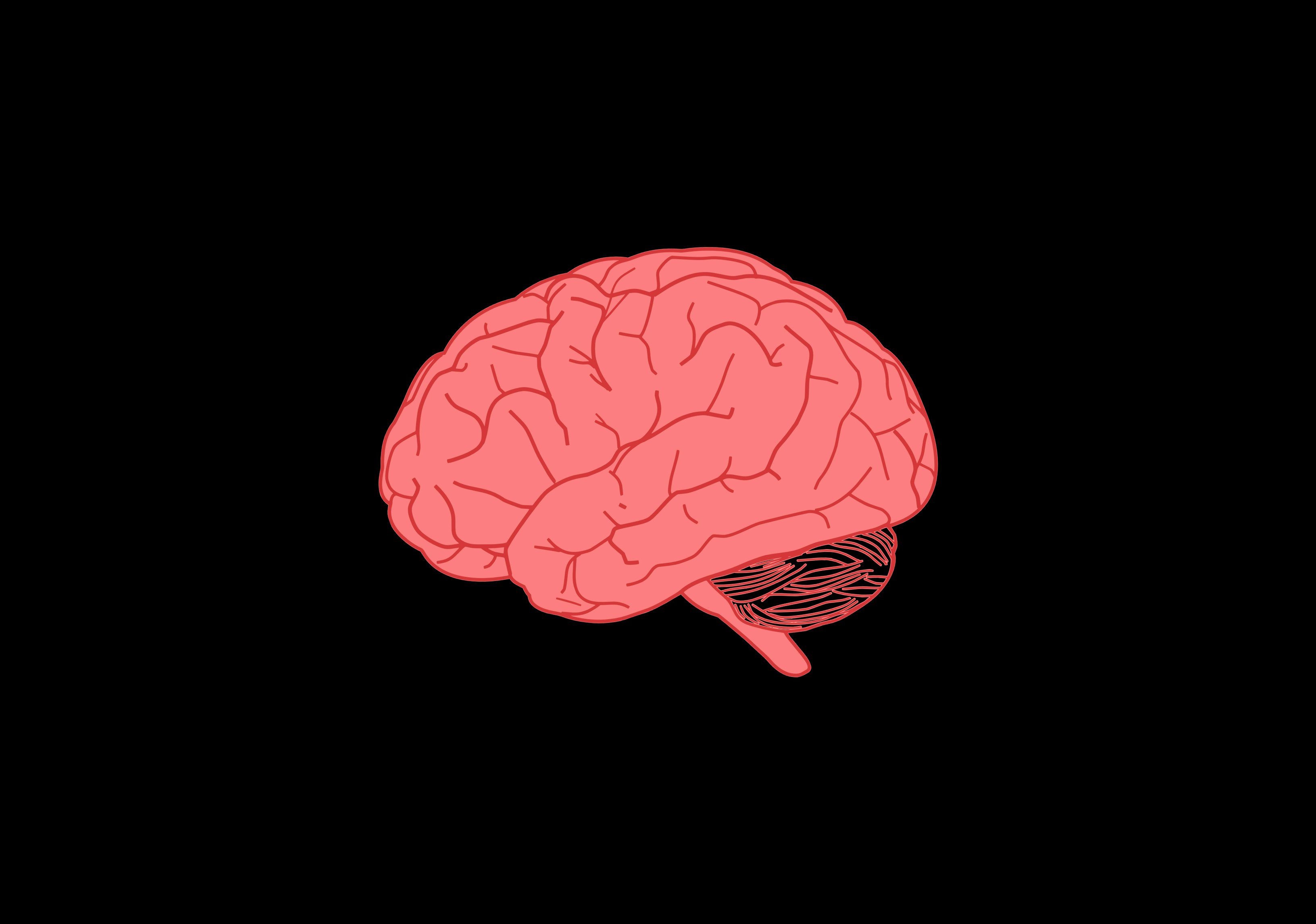 Cervell vermell sobre fons negre