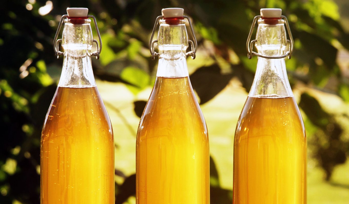 Hidromiel: una bebida cada vez más conocida y que conserva beneficios de la miel