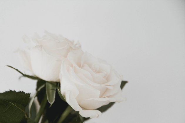 rocía color blanco unsplash Contento Pixie