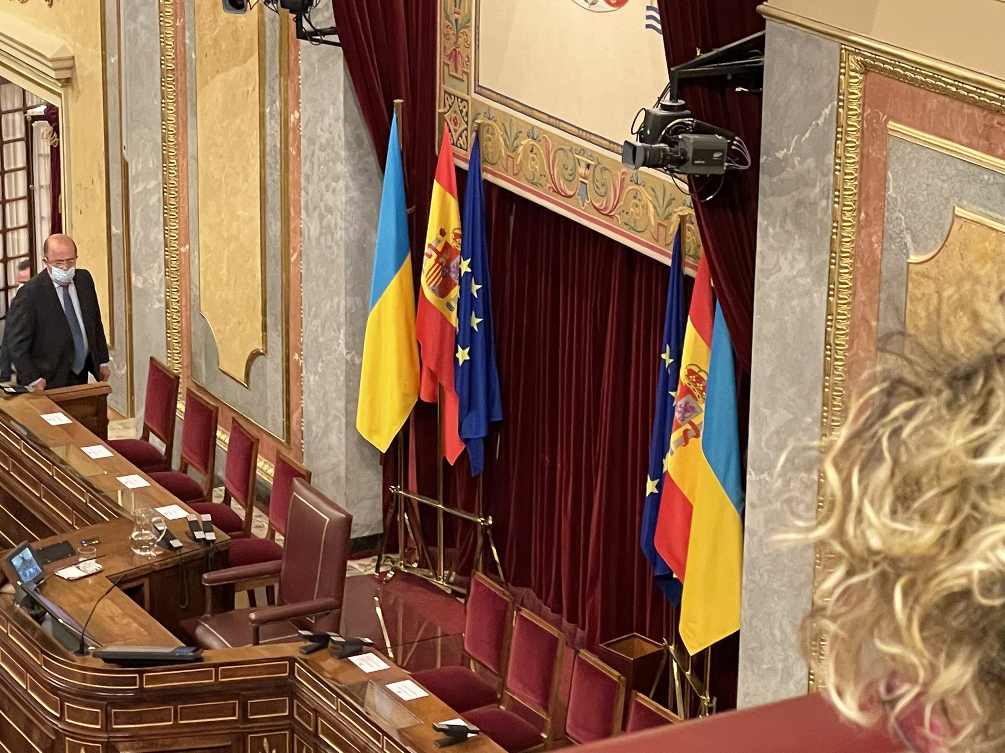 ucraina bandera congreso diputados